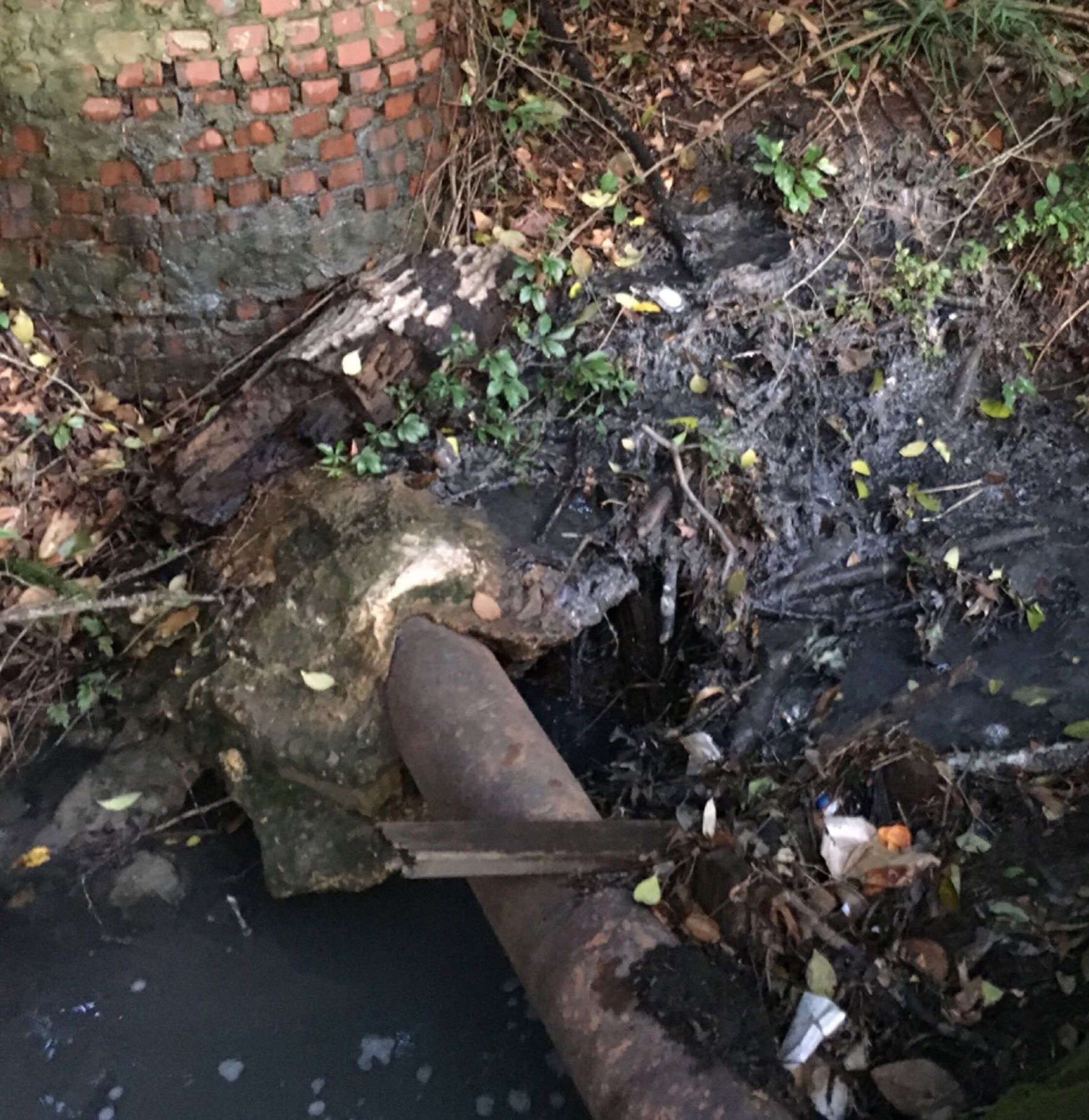 Illicit Discharge Detection & Elimination Photo