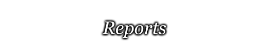 Stylized Header for the reports page